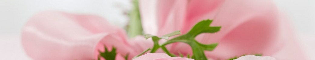 Flowers Flowers